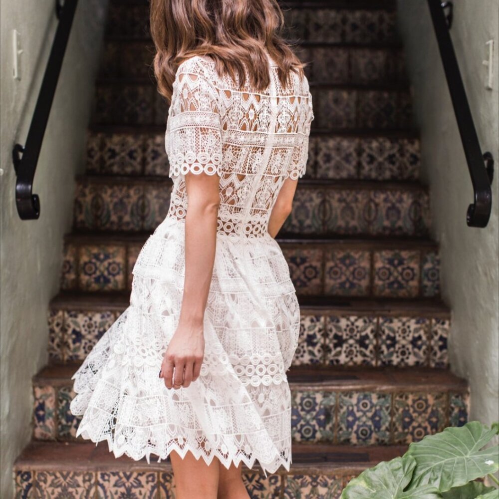 Alexis White Lace Fit & Flare Dress